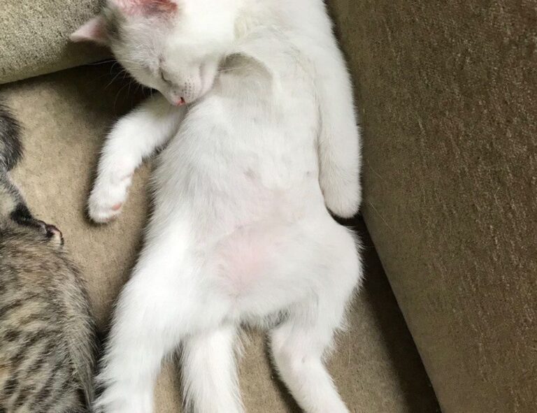 hair luvizac ingredient