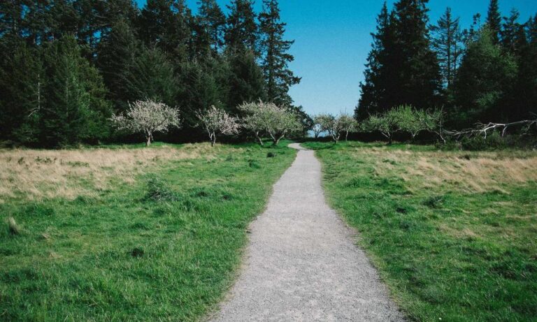 hanlerdos aviation management