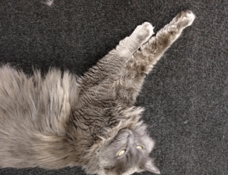 healthy food guide ontpdiet