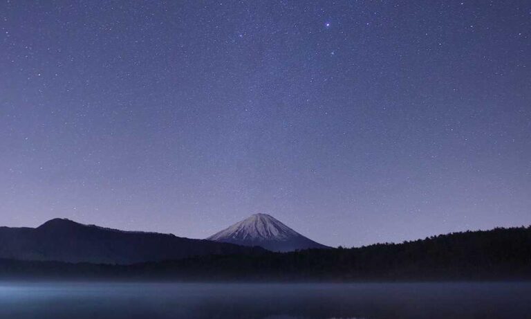 how does endbugflow software work