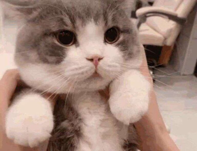 what is testing in zillexit software