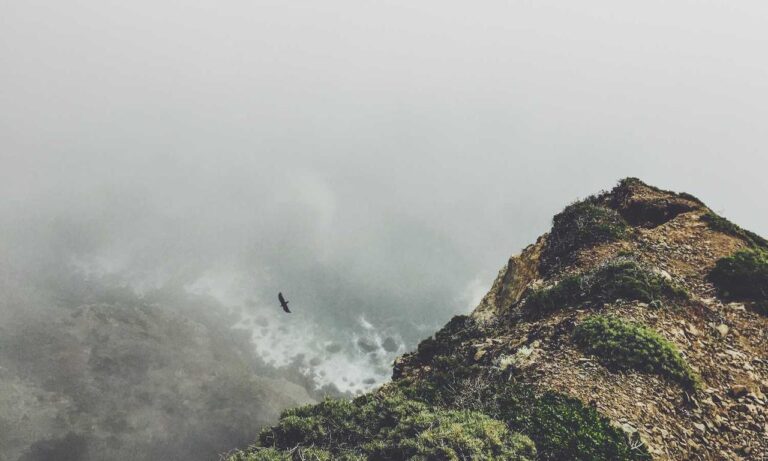 why is saisiege5487 not available in my country