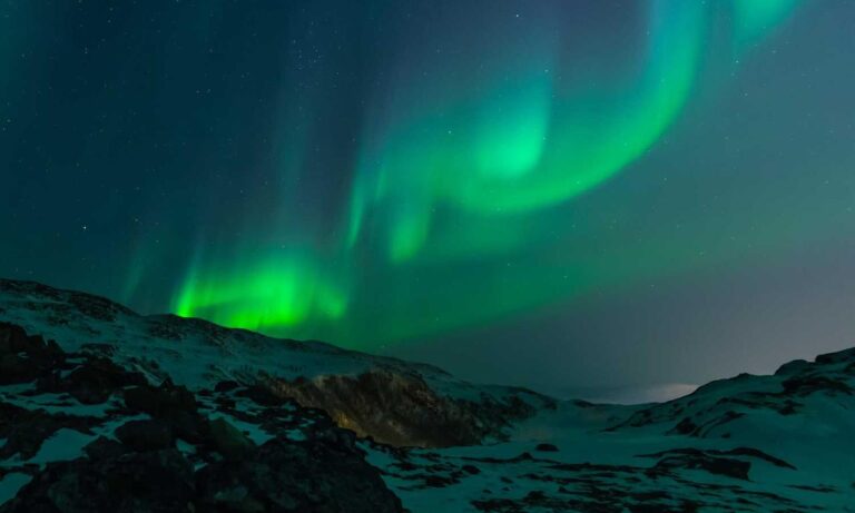 why use uhoebeans software in business