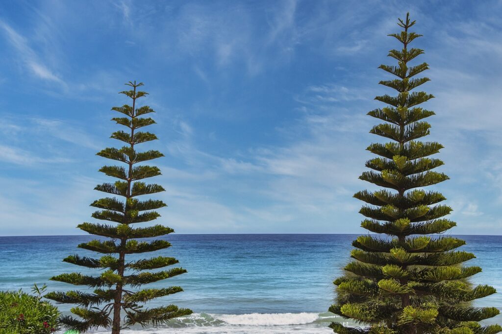 benefit of cooking at home fhthopefood