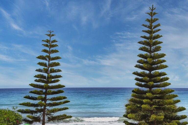 benefit of cooking at home fhthopefood