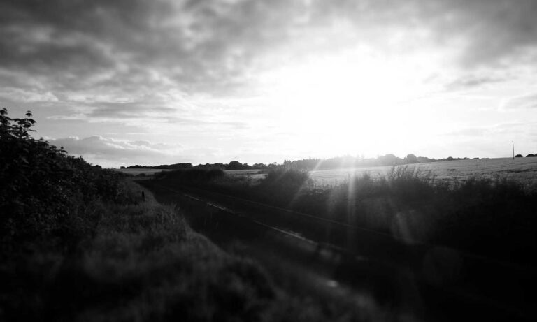 online food trends fhthopefood