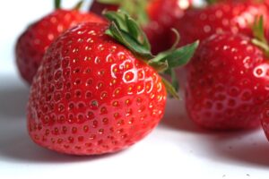 purposeful-nutrition-1