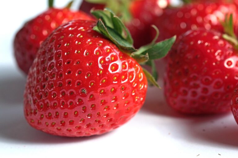 purposeful-nutrition-1
