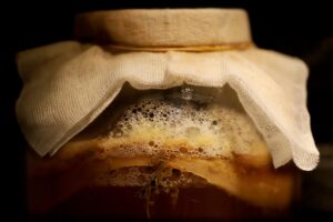 fermented foods benefits