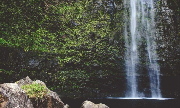 what should i cook based on what i have fhthopefood