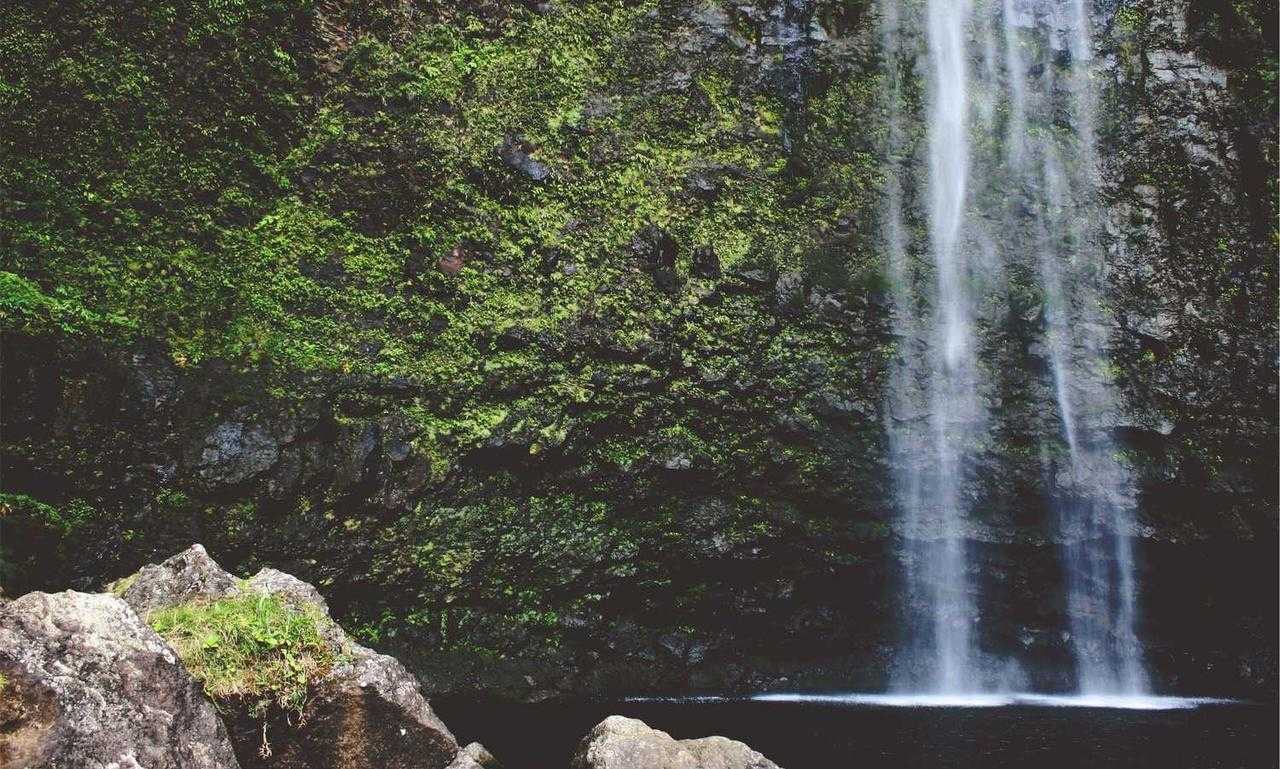 what should i cook based on what i have fhthopefood