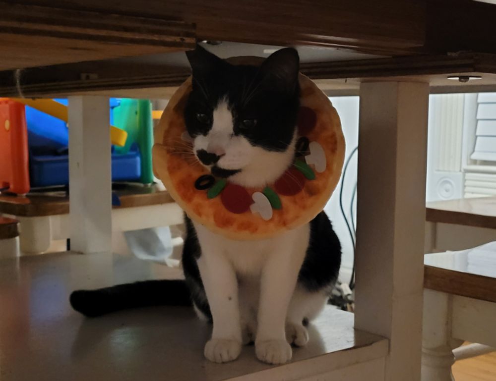 why cooking makes you happy fhthopefood