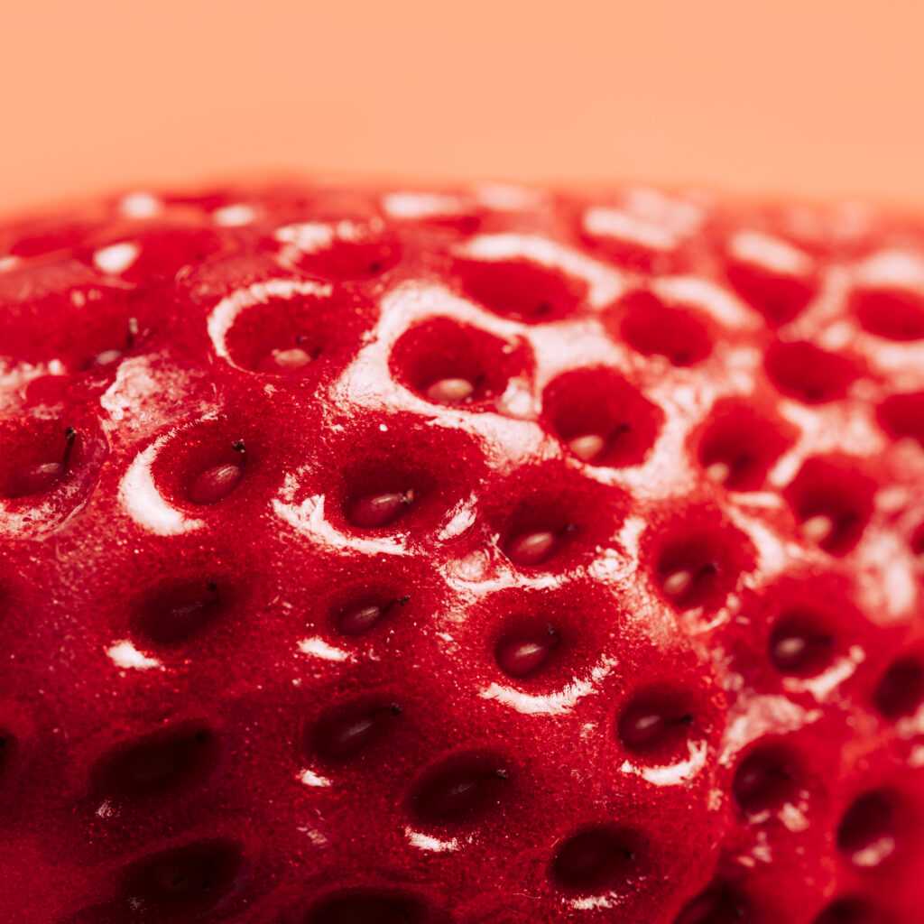 macro strawberry texture