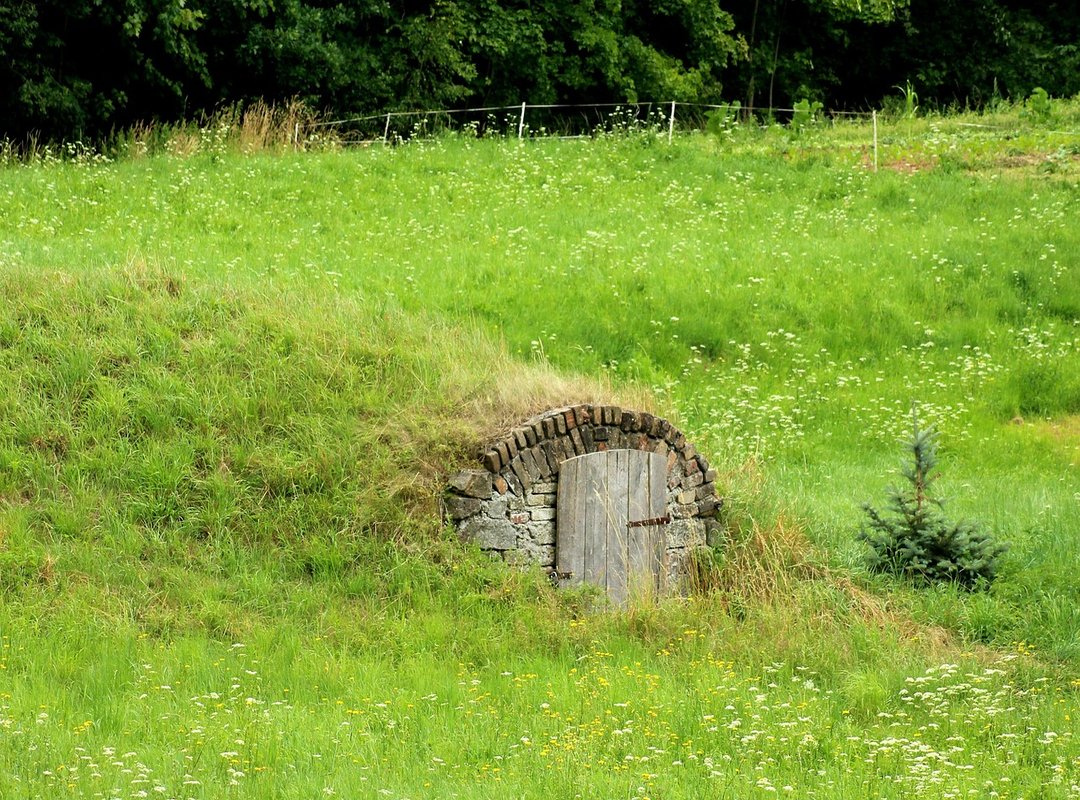 Jalbiteworldfood Jalbiteworldfood