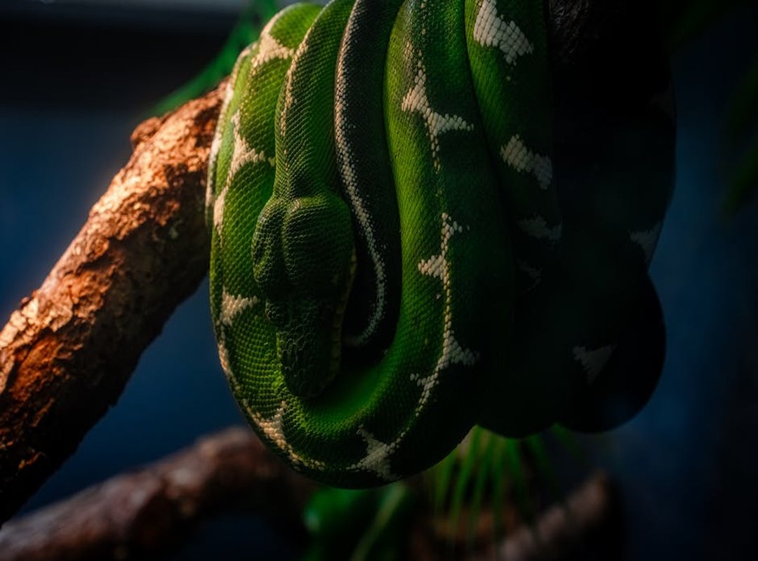 Latest Posts wallpaper seram keren hd