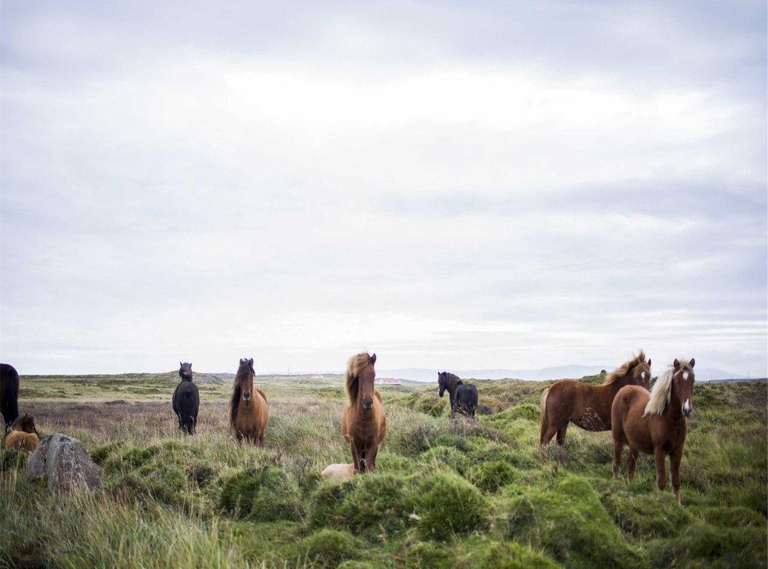 Frequently Asked Questions (FAQs)