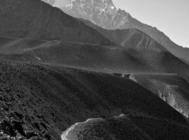 alight motion pro + mod apk (v4.0.4) download premium