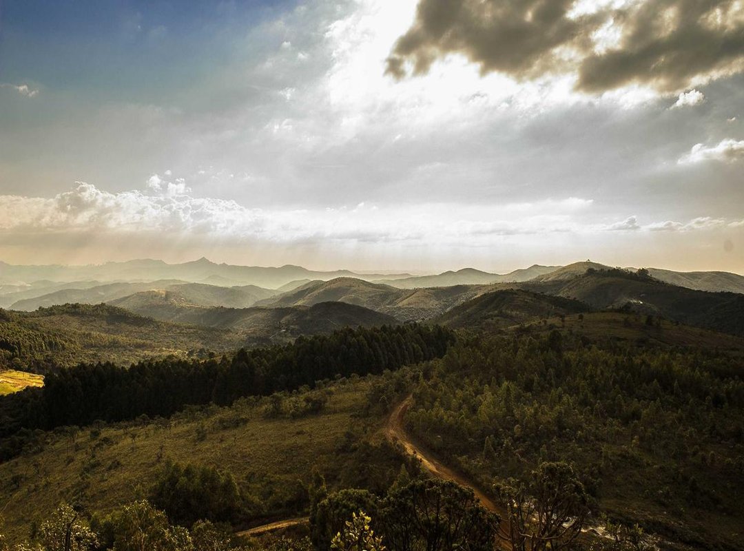 Placement is Everything: Finding the Perfect Spot on Your Rib Cage