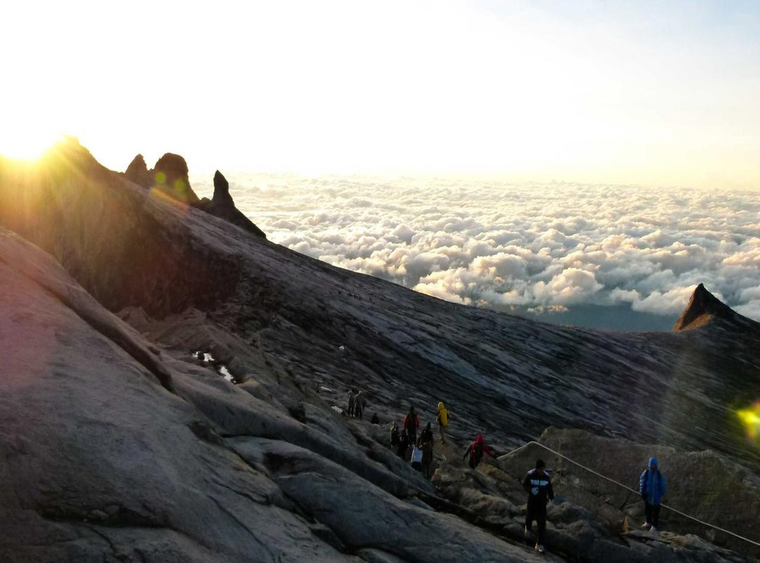 More Than a Fan: Barbas