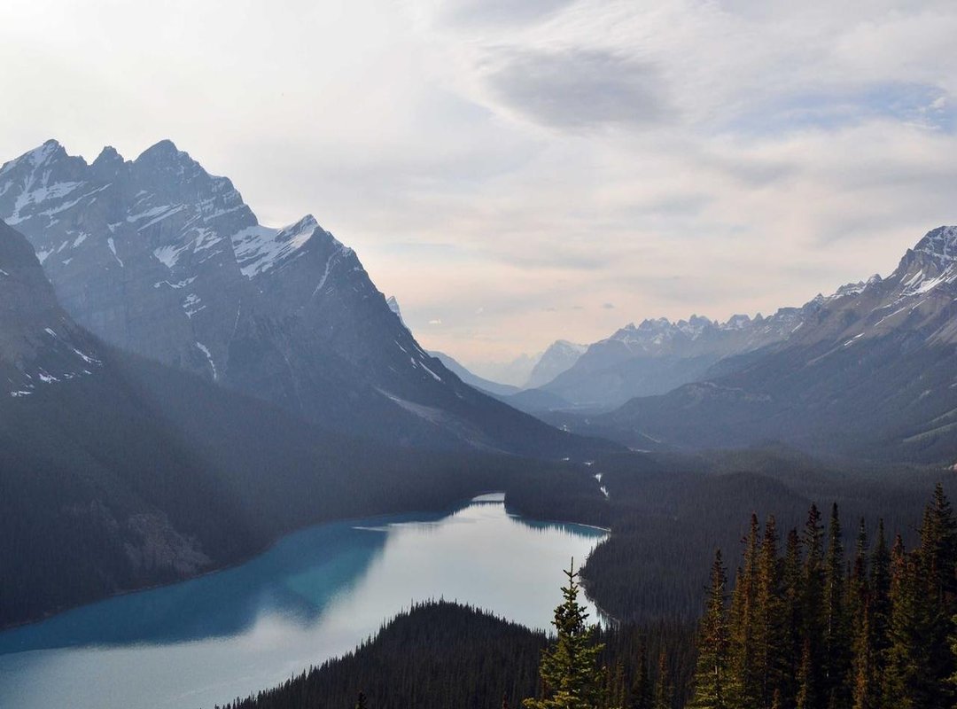 Preparing for Your Appointment: A Quick Checklist