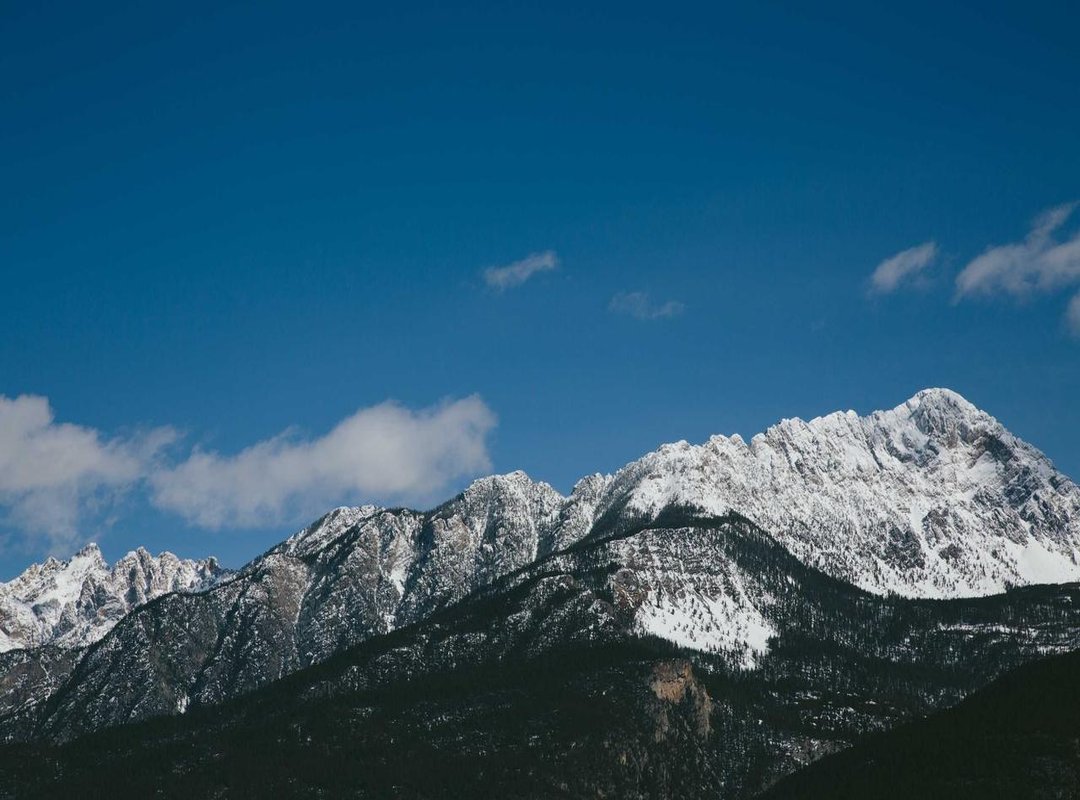 The Real Value: A Pros and Cons Breakdown of 