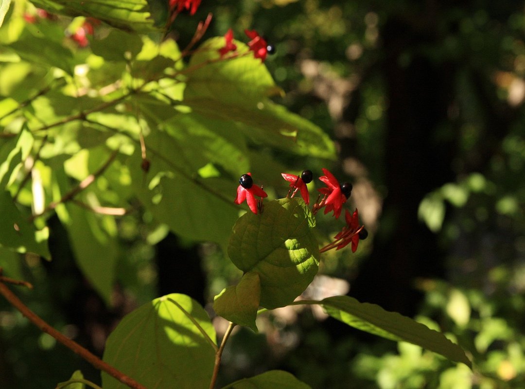 Hilarious Examples to Brighten Anyone