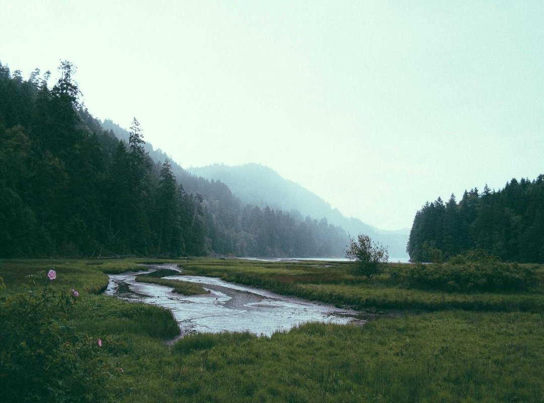 Comparisons: Kris Kremers vs. Competitors