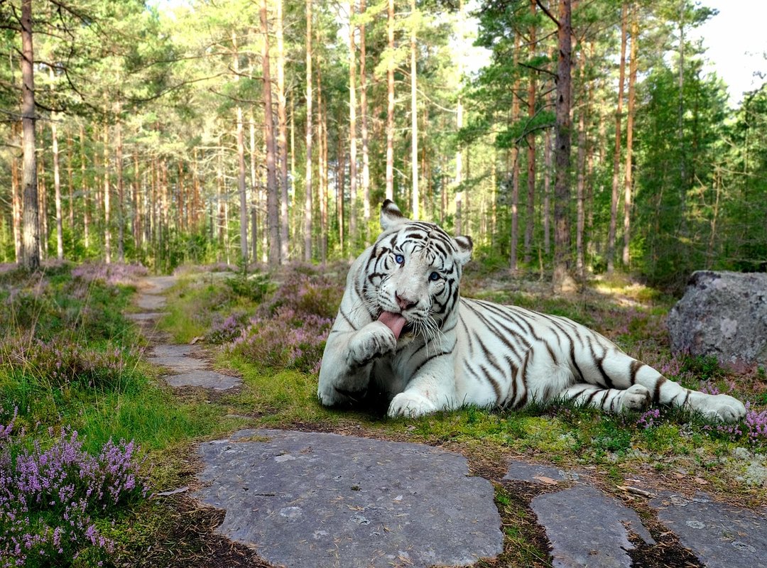 How to Analyze the Story for Deeper Understanding