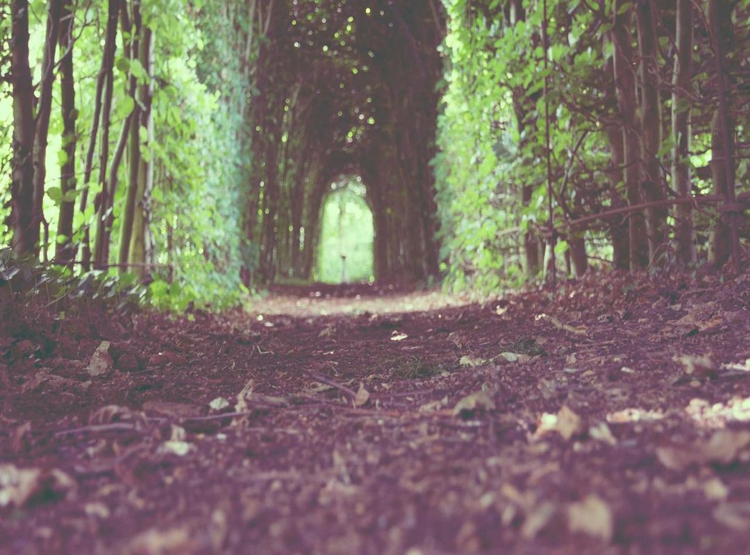 Navigating Macros in KFC Sides: The Good, The Bad, and The Ugly