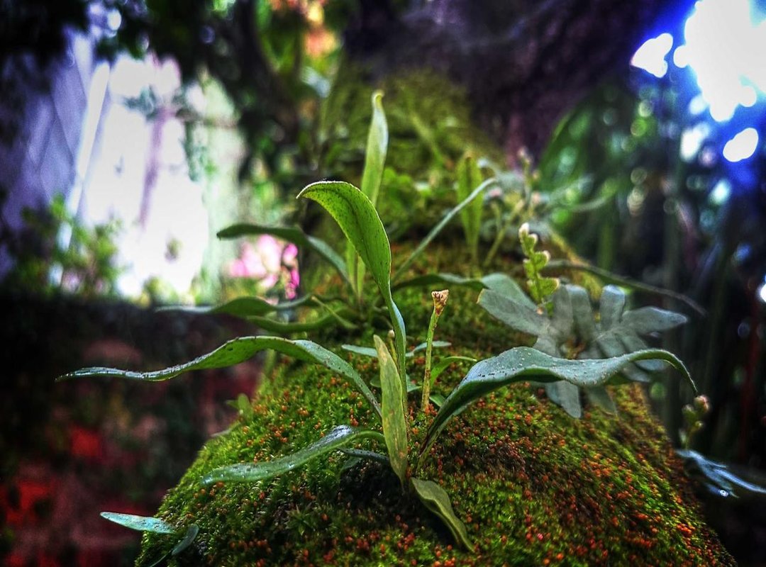 Your Pre-Purchase Checklist: 4 Things to Measure and Consider