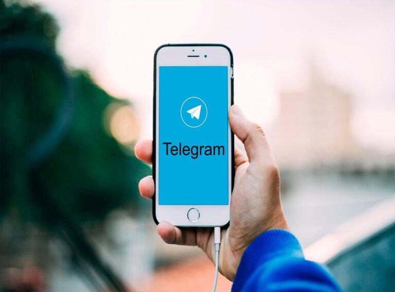 pololas telegram