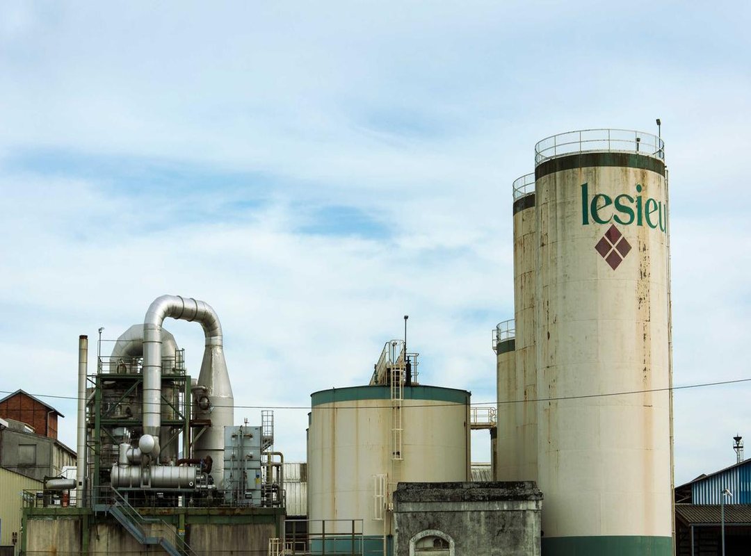 Beyond Sadness: The Universal Search for Connection