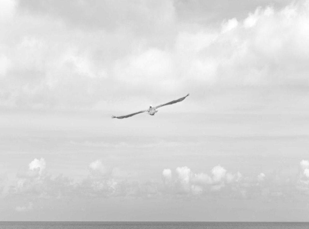 Streaming vs. Torrents: A Clear Winner for Movie Fans