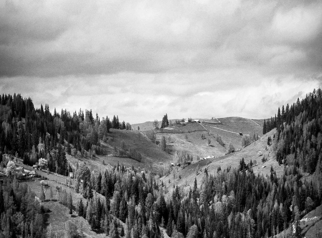 Mastering the Look: Simple Styling Tips for Your New Cut